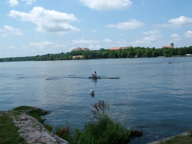 DSCF7193 (Medium)